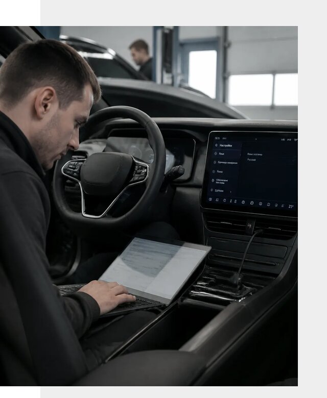 Русификация автомобилей BYD под ключ для всех моделей в Алейске