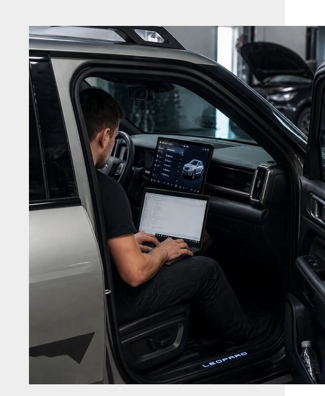 Русификация BYD Leopard 3 в Алейске по цене от 20519 р. | ФастМобиль-Лук
